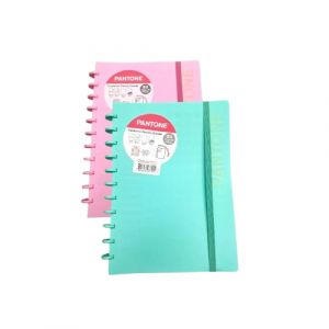 CUADERNO-CARTA-PANTONE-CON-DISCOS.png