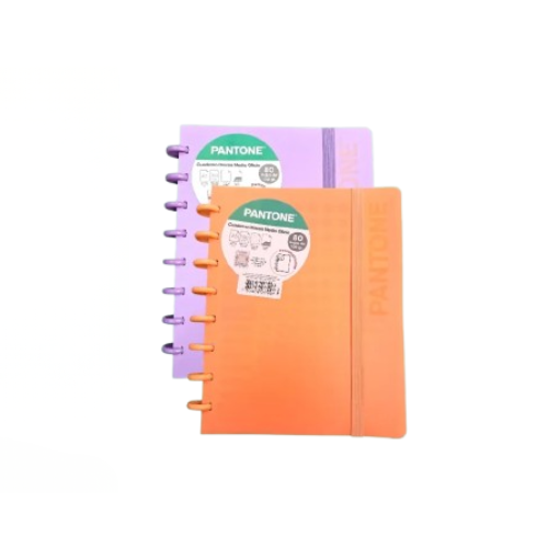 CUADERNO-PANTONE-CON-DISCOS.png
