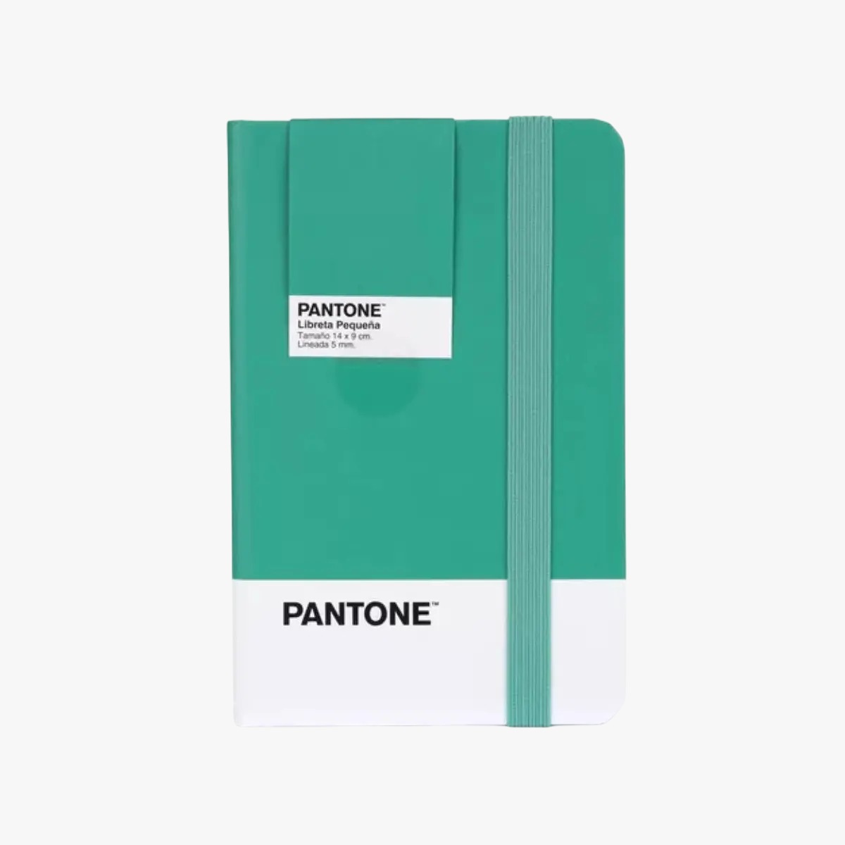 WhatsApp Image 2025-03-06 at 2.18.15 PM.jpeg