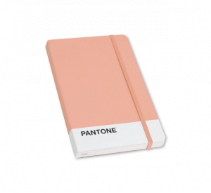 libreta_grande-pantone_peach.png