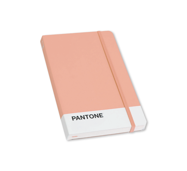 libreta_grande-pantone_peach.png